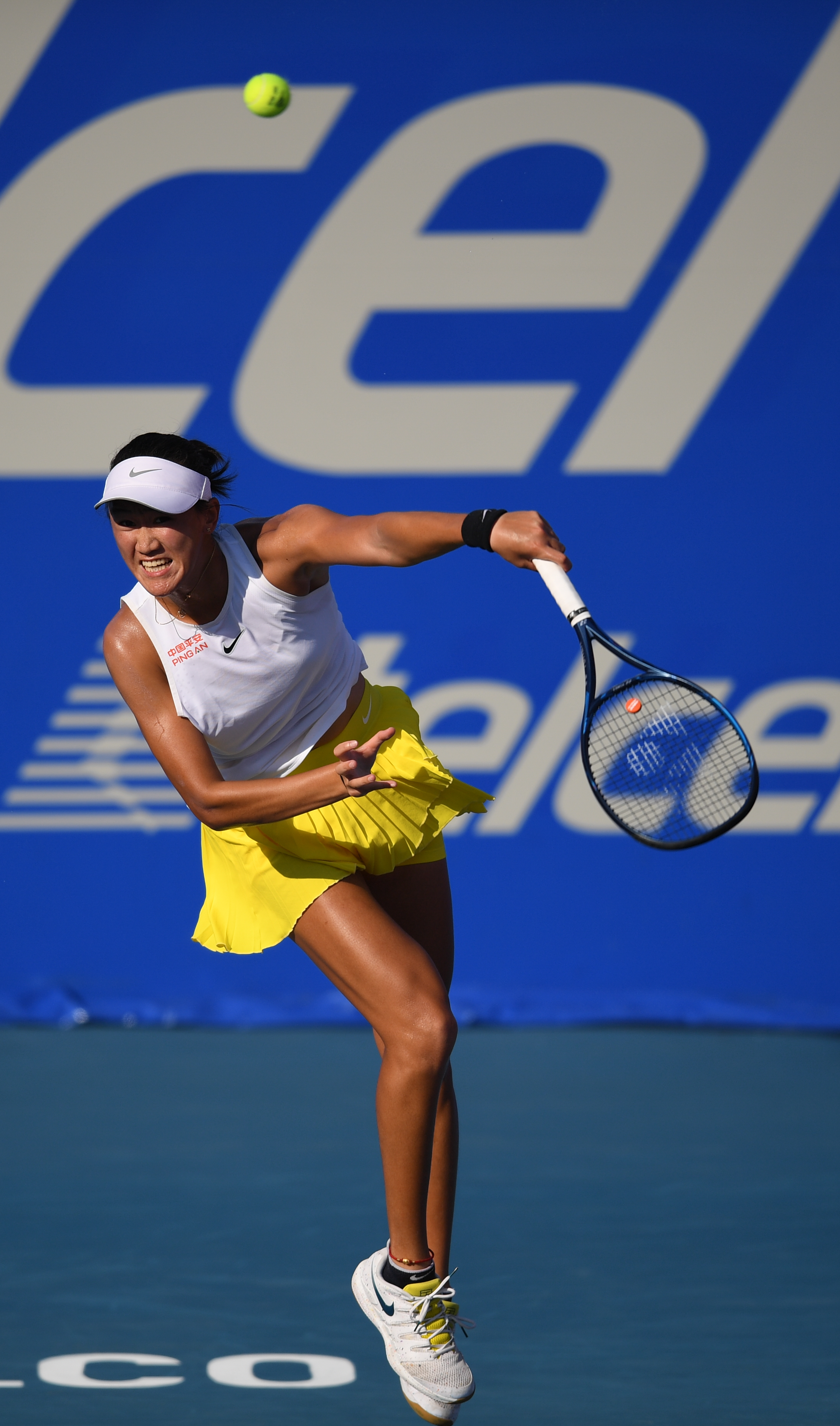 体育迷的目 体育迷的目