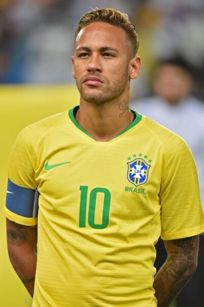 在阿莱格里 在阿莱格里